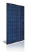 Astronergy CHSM6610P-245 Wp > 245 Watt Poly Solar Panel - Black Frame