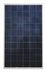 Astronergy CHSM6610P-255 Wp > 255 Watt Poly Solar Panel