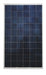 Astronergy CHSM6610P-255 Wp > 255 Watt Poly Solar Panels - 25 Panels