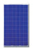 Canadian Solar 210 Watt 29 Volt Solar Panel - CS6P-210PE
