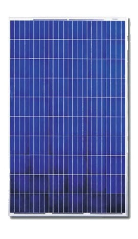 Canadian Solar 220 Watt 29 Volt Solar Panel - CS6P-220P