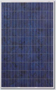 Canadian Solar 230 Watt 29 Volt Solar Panel - Black Zep Frame - CS6P-230PX-BL