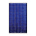 Canadian Solar CS6P-250P-BLK - 250 Watt Black Frame Solar Panel