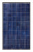Canadian Solar CS6P-265P > 265 Watt Black Frame Solar Panel