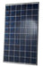 Hanwha - Q-Cells 255 Watt Poly Solar Panel - Q.Pro-BFR-G3.255 - Black Frame