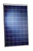 Schott 220 Watt 29 Volt Solar Panel - Perform Poly 220 Black
