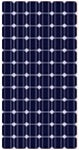 SunWize SW1750-170 watt 24 Volt Nominal PV module