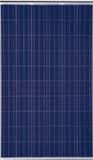 Trina Solar 255 Watt 30 Volt Solar Panel - TSM-255PA05